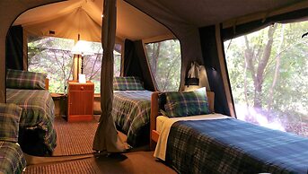 The Black Cockatoo Nannup