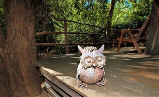 The Black Cockatoo Nannup