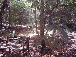 The Black Cockatoo Nannup
