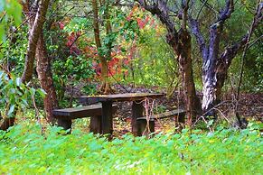 The Black Cockatoo Nannup