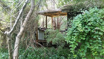 The Black Cockatoo Nannup