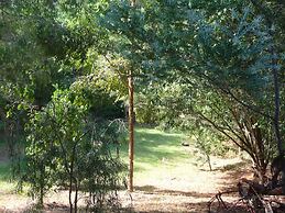 The Black Cockatoo Nannup