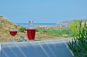 Hotel Naxos Filoxenia