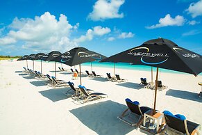 One On Marlin – Adults Only