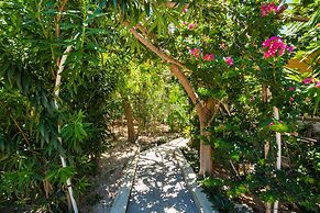 One On Marlin – Adults Only