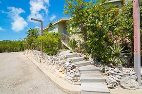 One On Marlin – Adults Only