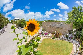 One On Marlin – Adults Only