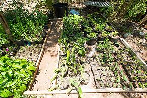 One On Marlin – Adults Only