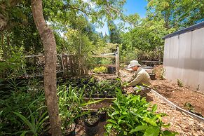 One On Marlin – Adults Only