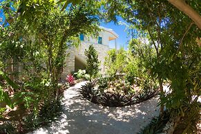 One On Marlin – Adults Only