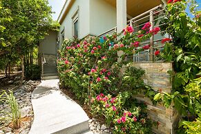 One On Marlin – Adults Only