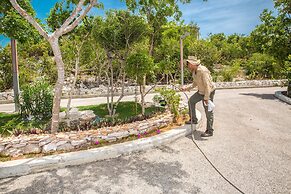 One On Marlin – Adults Only