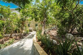 One On Marlin – Adults Only