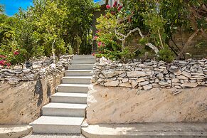 One On Marlin – Adults Only