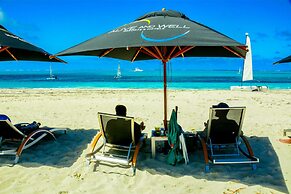 One On Marlin – Adults Only