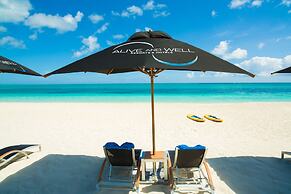 One On Marlin – Adults Only