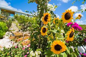 One On Marlin – Adults Only