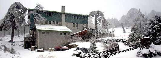 Forest Park Hotel