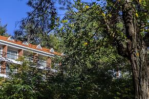 Forest Park Hotel