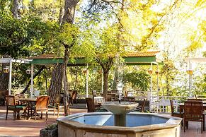 Forest Park Hotel