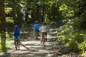 Chestnut Mountain Resort