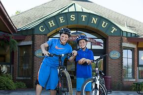 Chestnut Mountain Resort