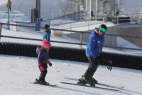 Chestnut Mountain Resort