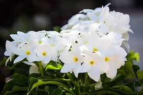 Kokomo Botanical Resort - Caribbean Family Cottages