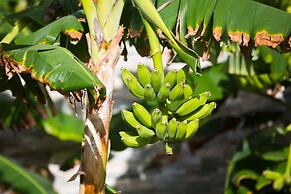 Kokomo Botanical Resort - Caribbean Family Cottages