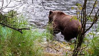 Gwin's Lodge & Roadhouse Est. 1952