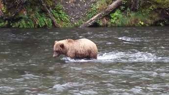 Gwin's Lodge & Roadhouse Est. 1952