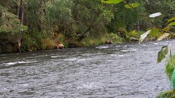 Gwin's Lodge & Roadhouse Est. 1952