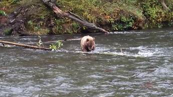 Gwin's Lodge & Roadhouse Est. 1952