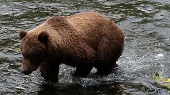 Gwin's Lodge & Roadhouse Est. 1952