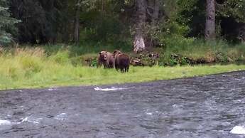 Gwin's Lodge & Roadhouse Est. 1952