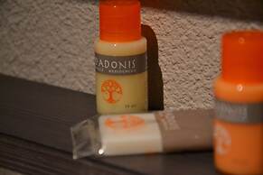 Adonis Hôtel Bayonne
