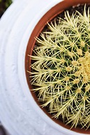 Angelos Design Suites