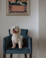 Boutique Hotel Portorose