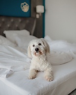 Boutique Hotel Portorose