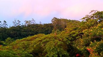 Royston Hall Guesthouse