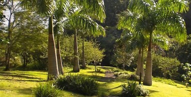 Royston Hall Guesthouse