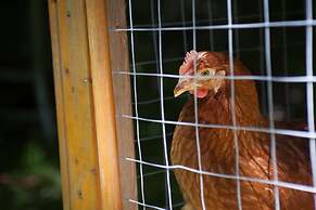 La Chaumiere de l' Anse