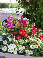 Villetta del Salento Exclusive B&B