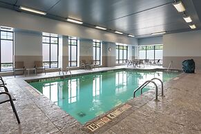 The Mosey Buffalo Williamsville, Tapestry Collection by Hilton