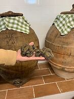 Wine Resort La Ghirlanda