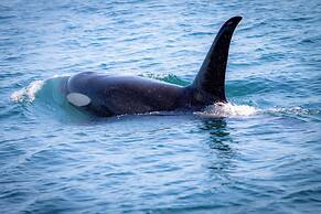 Aviator Hotel Anchorage