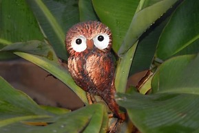 Pousada Recanto da Coruja