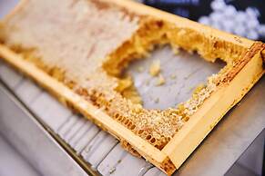 MAXX by Steigenberger Vienna