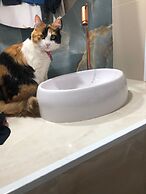 Costa Maris Beach Hotel - Frente Mar