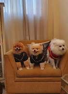 Costa Maris Beach Hotel - Frente Mar